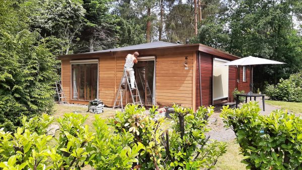 Kleur advies