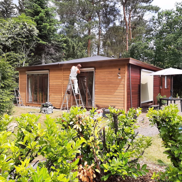 Kleur advies