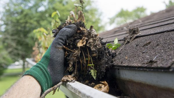 Dakgoot schoonmaken
